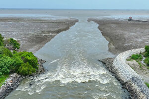 river delta